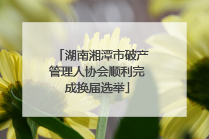 湖南湘潭市破产管理人协会顺利完成换届选举