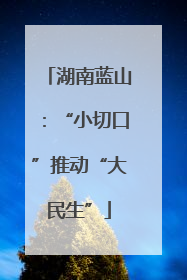 湖南蓝山：“小切口”推动“大民生”