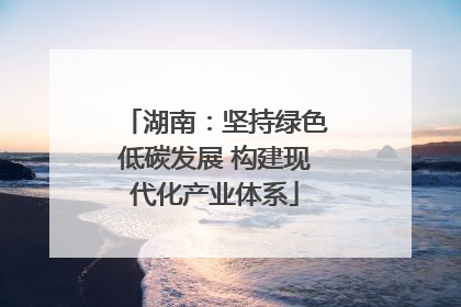 湖南：坚持绿色低碳发展 构建现代化产业体系