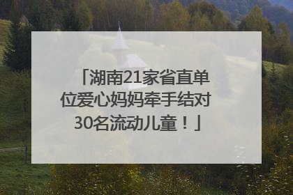 湖南21家省直单位爱心妈妈牵手结对30名流动儿童！