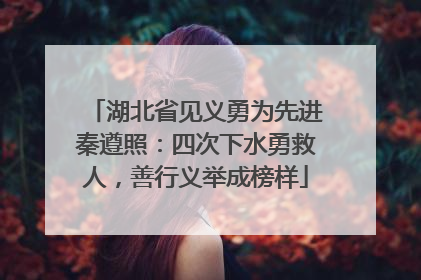 湖北省见义勇为先进秦遵照：四次下水勇救人，善行义举成榜样