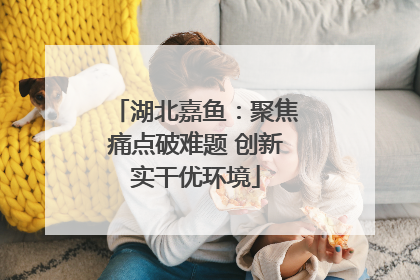 湖北嘉鱼：聚焦痛点破难题 创新实干优环境