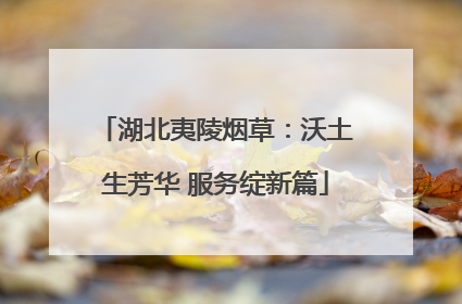 湖北夷陵烟草：沃土生芳华 服务绽新篇
