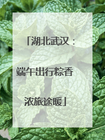 湖北武汉：端午出行粽香浓旅途暖
