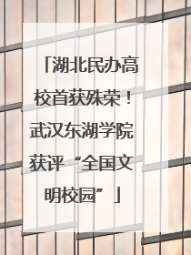 湖北民办高校首获殊荣！武汉东湖学院获评“全国文明校园”