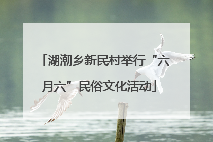 湖潮乡新民村举行“六月六”民俗文化活动