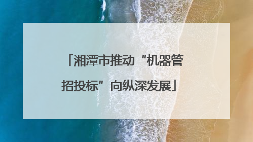 湘潭市推动“机器管招投标”向纵深发展