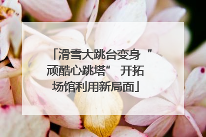 滑雪大跳台变身“顽酷心跳塔” 开拓场馆利用新局面