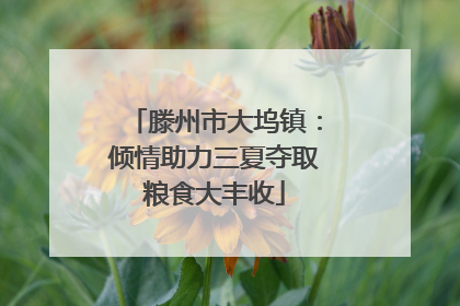 滕州市大坞镇：倾情助力三夏夺取粮食大丰收