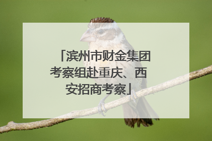 滨州市财金集团考察组赴重庆、西安招商考察