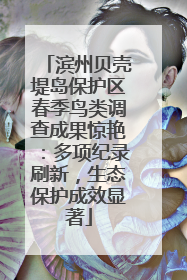 滨州贝壳堤岛保护区春季鸟类调查成果惊艳：多项纪录刷新，生态保护成效显著