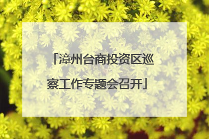 漳州台商投资区巡察工作专题会召开