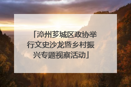 漳州芗城区政协举行文史沙龙暨乡村振兴专题视察活动