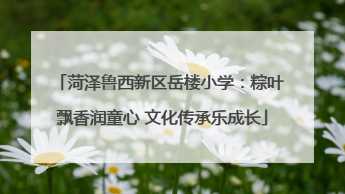 菏泽鲁西新区岳楼小学：粽叶飘香润童心 文化传承乐成长