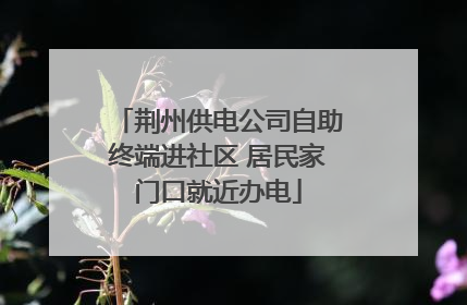 荆州供电公司自助终端进社区 居民家门口就近办电