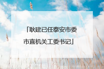 耿建已任泰安市委市直机关工委书记