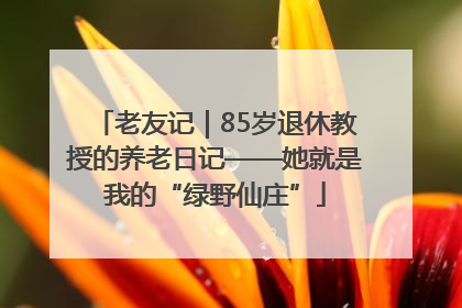 老友记｜85岁退休教授的养老日记——她就是我的“绿野仙庄”