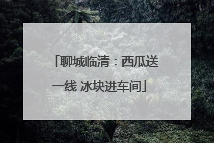 聊城临清：西瓜送一线 冰块进车间