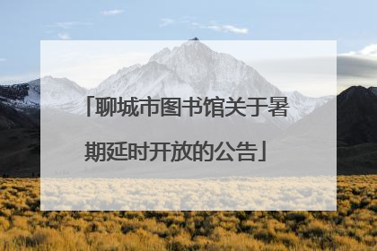 聊城市图书馆关于暑期延时开放的公告