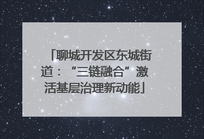 聊城开发区东城街道：“三链融合”激活基层治理新动能