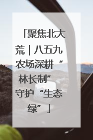 聚焦北大荒｜八五九农场深耕“林长制” 守护“生态绿”