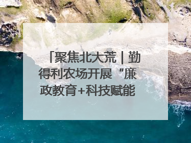 聚焦北大荒｜勤得利农场开展“廉政教育+科技赋能”主题党日活动