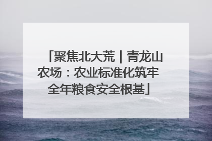 聚焦北大荒｜青龙山农场：农业标准化筑牢全年粮食安全根基