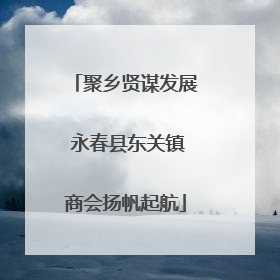 聚乡贤谋发展 永春县东关镇商会扬帆起航