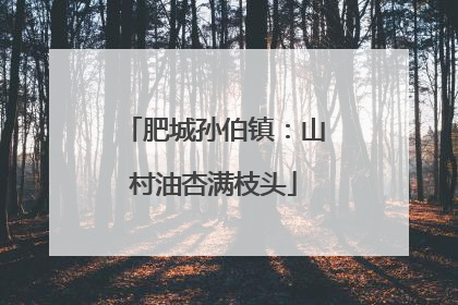 肥城孙伯镇：山村油杏满枝头