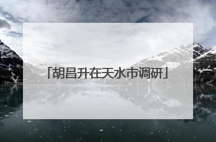 胡昌升在天水市调研