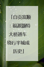 自贡富顺：福源灏特大桥通车 绕行半城成历史