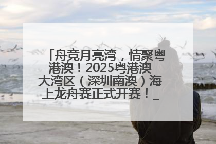 舟竞月亮湾，情聚粤港澳！2025粤港澳大湾区（深圳南澳）海上龙舟赛正式开赛！_深圳新闻网