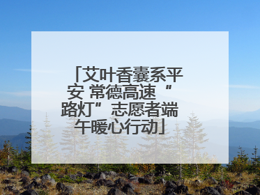 艾叶香囊系平安 常德高速“路灯”志愿者端午暖心行动
