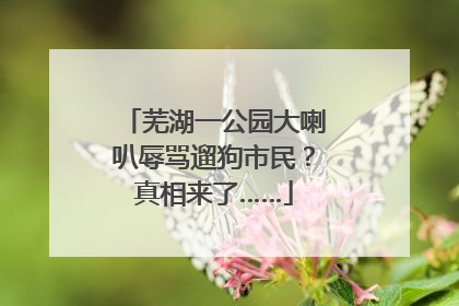 芜湖一公园大喇叭辱骂遛狗市民？真相来了……