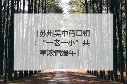 苏州吴中胥口镇：“一老一小”共享浓情端午