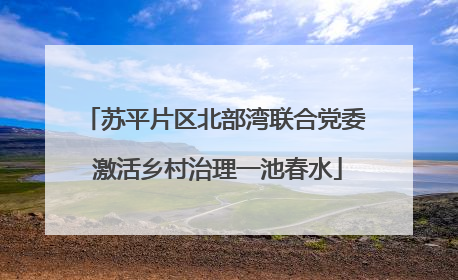 苏平片区北部湾联合党委 激活乡村治理一池春水