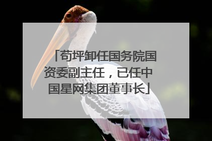 苟坪卸任国务院国资委副主任，已任中国星网集团董事长