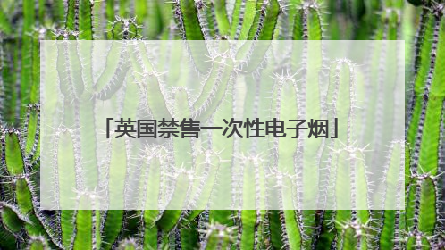 英国禁售一次性电子烟