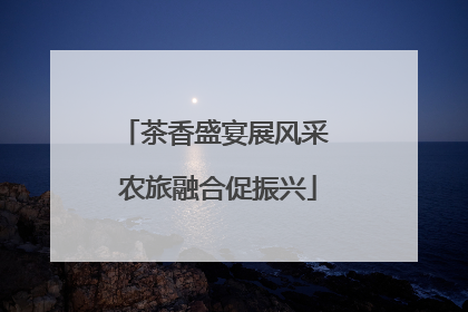 茶香盛宴展风采 农旅融合促振兴