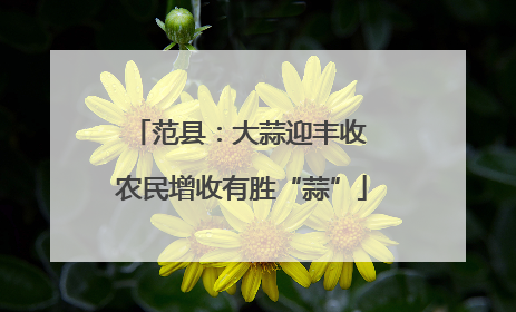 范县：大蒜迎丰收 农民增收有胜“蒜”