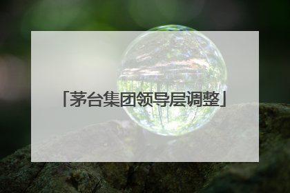 茅台集团领导层调整