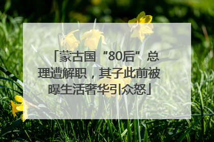 蒙古国“80后”总理遭解职，其子此前被曝生活奢华引众怒