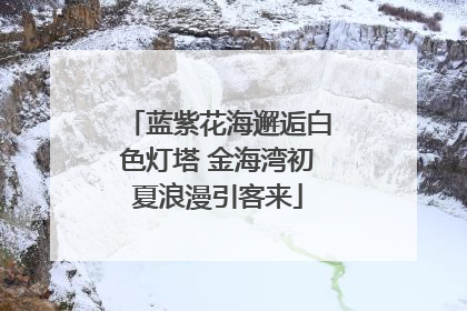 蓝紫花海邂逅白色灯塔 金海湾初夏浪漫引客来