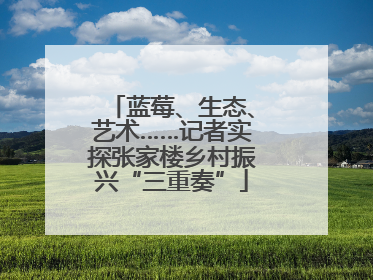 蓝莓、生态、艺术……记者实探张家楼乡村振兴“三重奏”