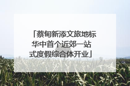 蔡甸新添文旅地标 华中首个近郊一站式度假综合体开业