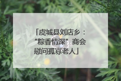 虞城县刘店乡：“粽香情深”商会慰问孤寡老人