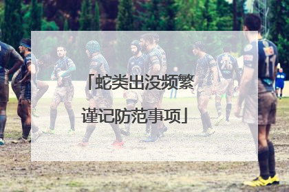 蛇类出没频繁 谨记防范事项