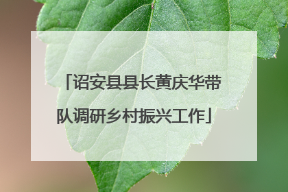 诏安县县长黄庆华带队调研乡村振兴工作