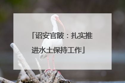 诏安官陂：扎实推进水土保持工作