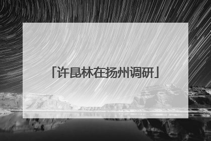 许昆林在扬州调研